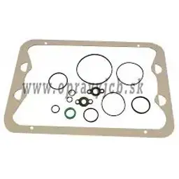 tesnenie 320/09219 vane mot. JCB